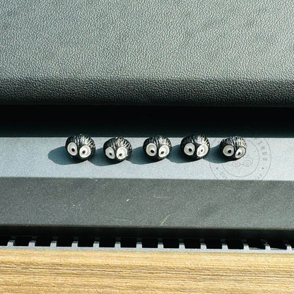 5pcs Small Black Briquet