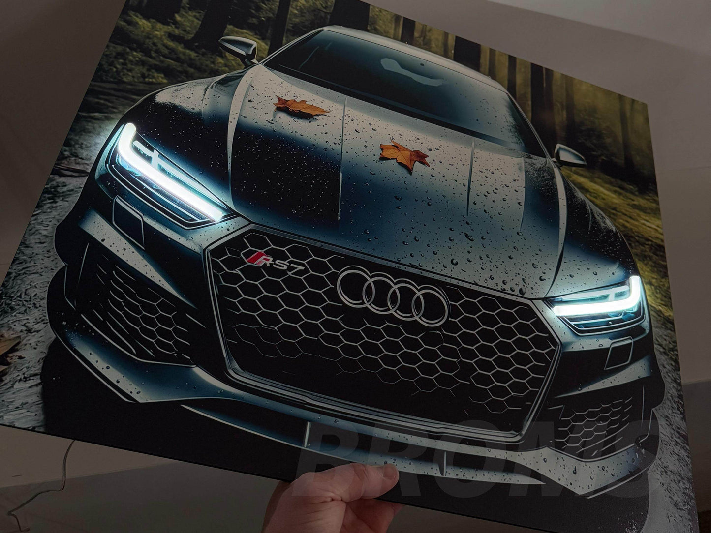 Audi Wall Frame