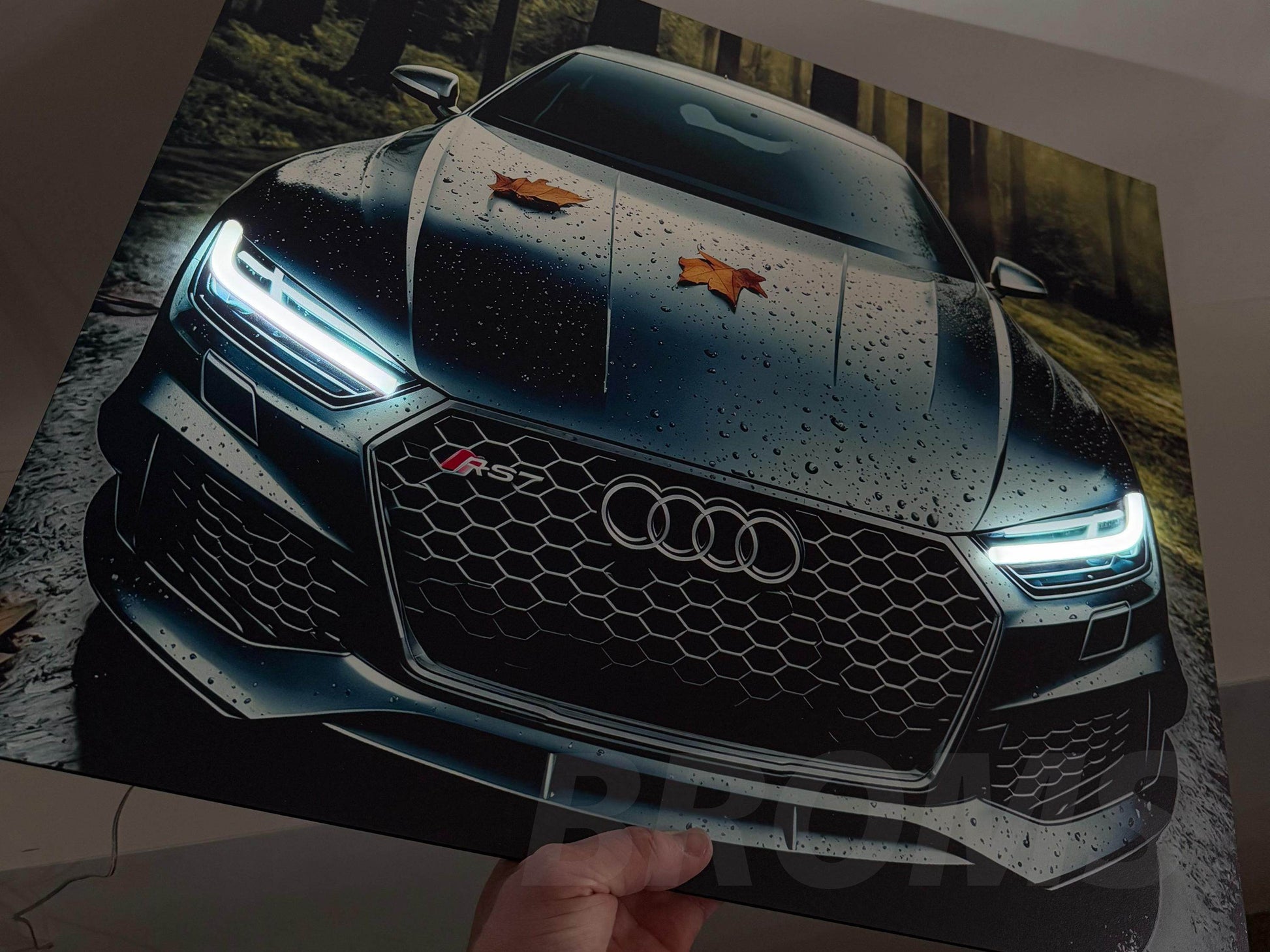 Audi Wall Frame